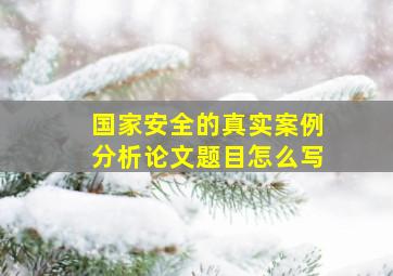 国家安全的真实案例分析论文题目怎么写