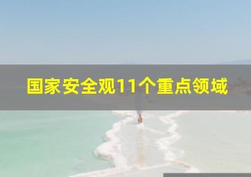 国家安全观11个重点领域