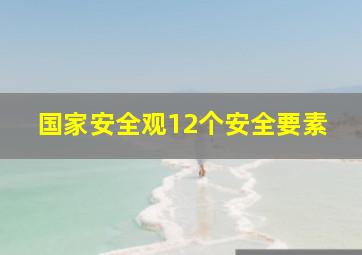 国家安全观12个安全要素