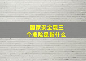 国家安全观三个危险是指什么