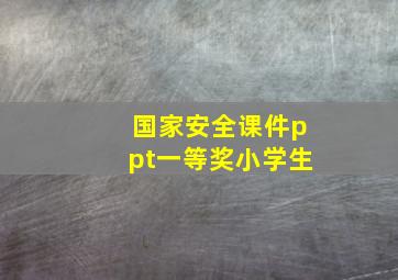 国家安全课件ppt一等奖小学生