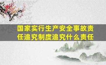 国家实行生产安全事故责任追究制度追究什么责任