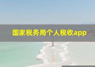 国家税务局个人税收app