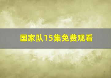 国家队15集免费观看