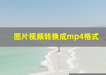 图片视频转换成mp4格式