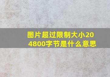 图片超过限制大小204800字节是什么意思