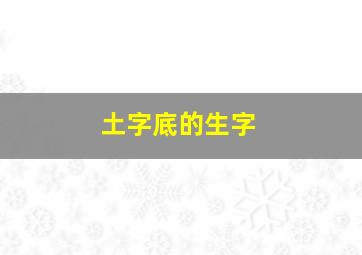 土字底的生字