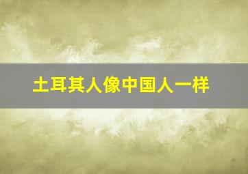 土耳其人像中国人一样