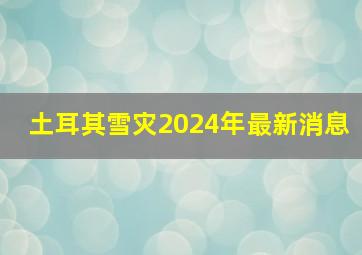 土耳其雪灾2024年最新消息