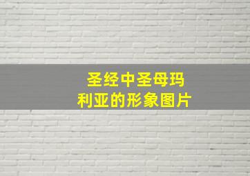 圣经中圣母玛利亚的形象图片