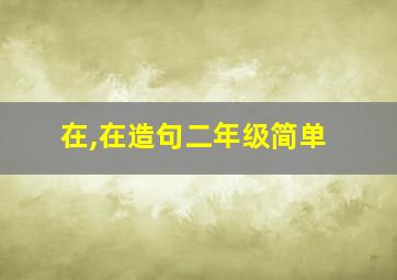 在,在造句二年级简单