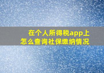 在个人所得税app上怎么查询社保缴纳情况