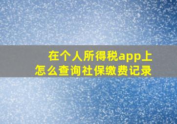 在个人所得税app上怎么查询社保缴费记录