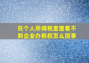 在个人所得税里面看不到企业办税权怎么回事