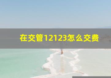 在交管12123怎么交费