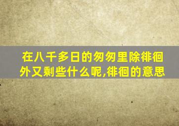 在八千多日的匆匆里除徘徊外又剩些什么呢,徘徊的意思