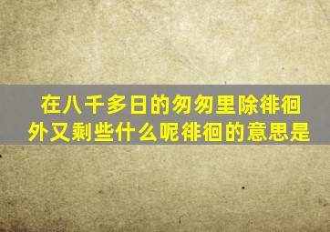 在八千多日的匆匆里除徘徊外又剩些什么呢徘徊的意思是