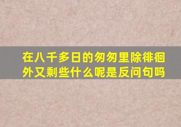 在八千多日的匆匆里除徘徊外又剩些什么呢是反问句吗