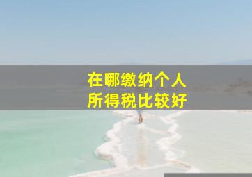 在哪缴纳个人所得税比较好