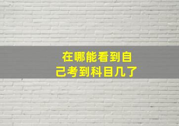 在哪能看到自己考到科目几了