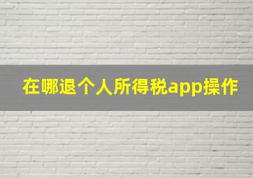 在哪退个人所得税app操作