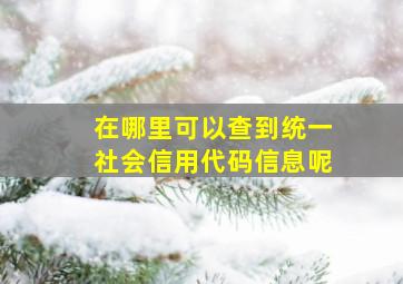 在哪里可以查到统一社会信用代码信息呢