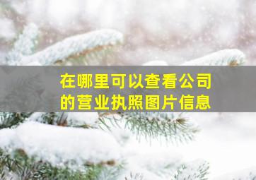 在哪里可以查看公司的营业执照图片信息