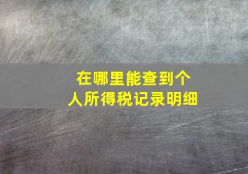 在哪里能查到个人所得税记录明细