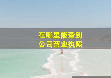 在哪里能查到公司营业执照