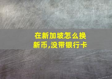 在新加坡怎么换新币,没带银行卡