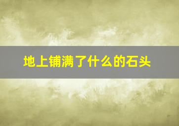 地上铺满了什么的石头