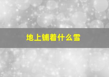 地上铺着什么雪