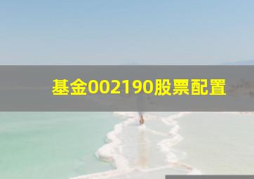 基金002190股票配置