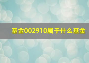 基金002910属于什么基金