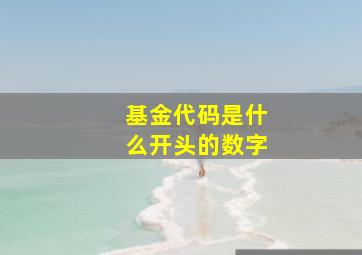 基金代码是什么开头的数字