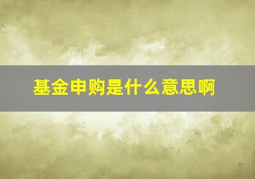 基金申购是什么意思啊