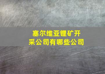 塞尔维亚锂矿开采公司有哪些公司