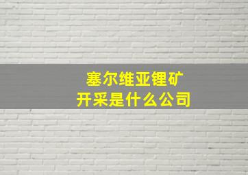 塞尔维亚锂矿开采是什么公司