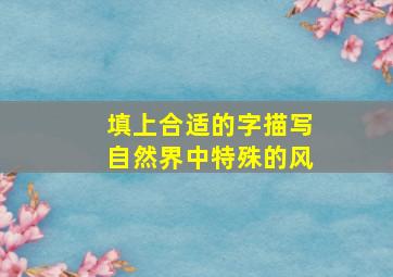 填上合适的字描写自然界中特殊的风