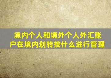 境内个人和境外个人外汇账户在境内划转按什么进行管理