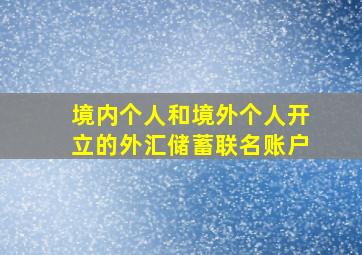 境内个人和境外个人开立的外汇储蓄联名账户