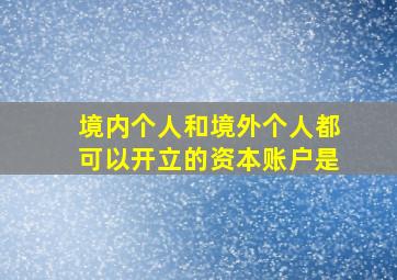 境内个人和境外个人都可以开立的资本账户是