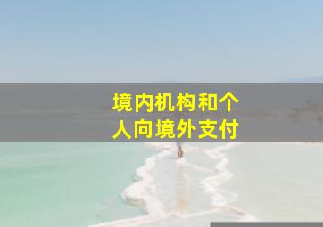 境内机构和个人向境外支付