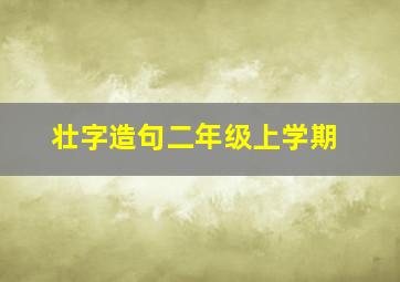 壮字造句二年级上学期