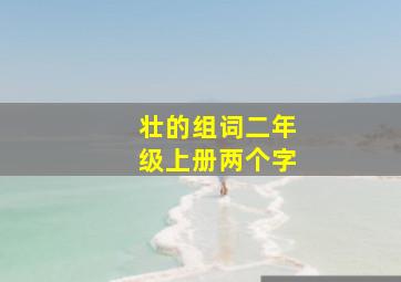 壮的组词二年级上册两个字