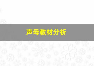 声母教材分析