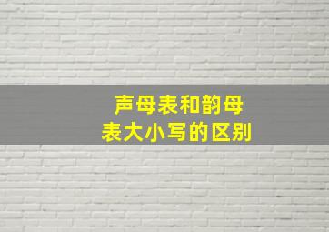 声母表和韵母表大小写的区别