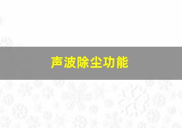 声波除尘功能