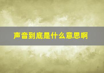 声音到底是什么意思啊