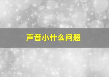 声音小什么问题